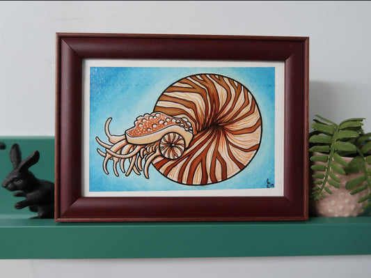 "Nautilus" 4"x6" ORIGINAL PAINTING