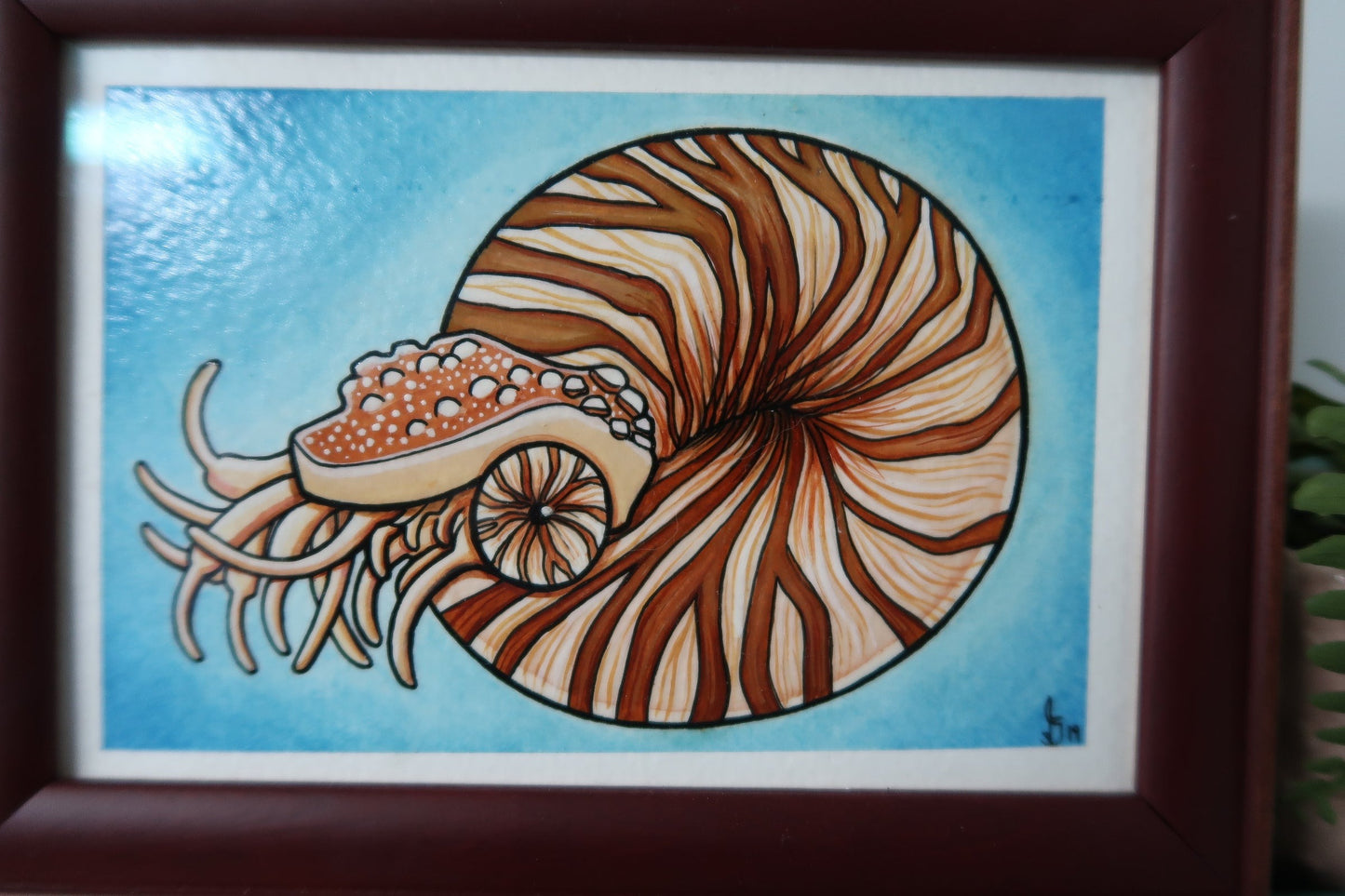 "Nautilus" 4"x6" ORIGINAL PAINTING