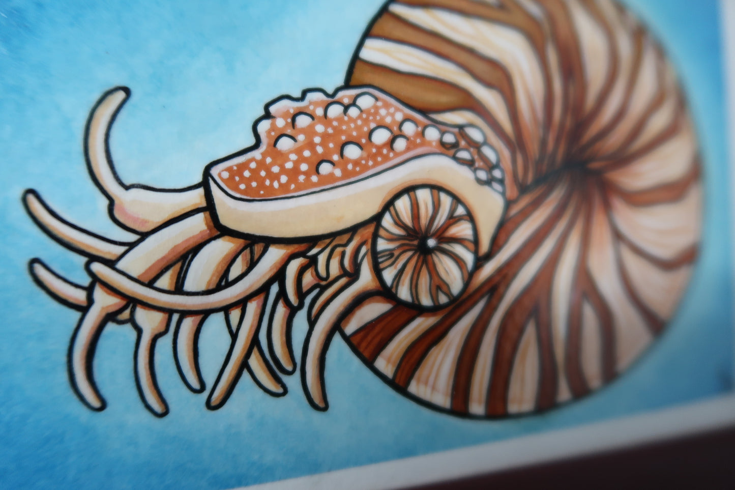 "Nautilus" 4"x6" ORIGINAL PAINTING