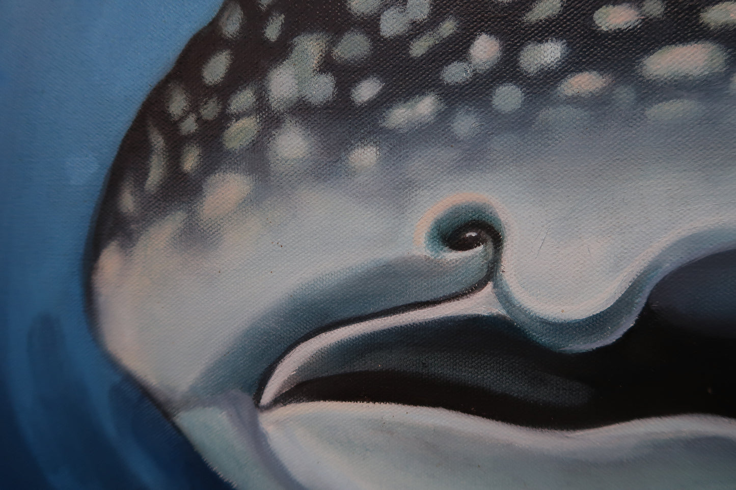 "Whaleshark" Original